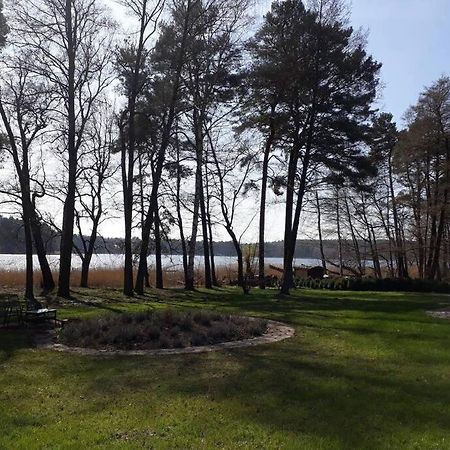 Penthouse Bernd Im Waldschloesschen Direkt Am See Wendisch Rietz Εξωτερικό φωτογραφία