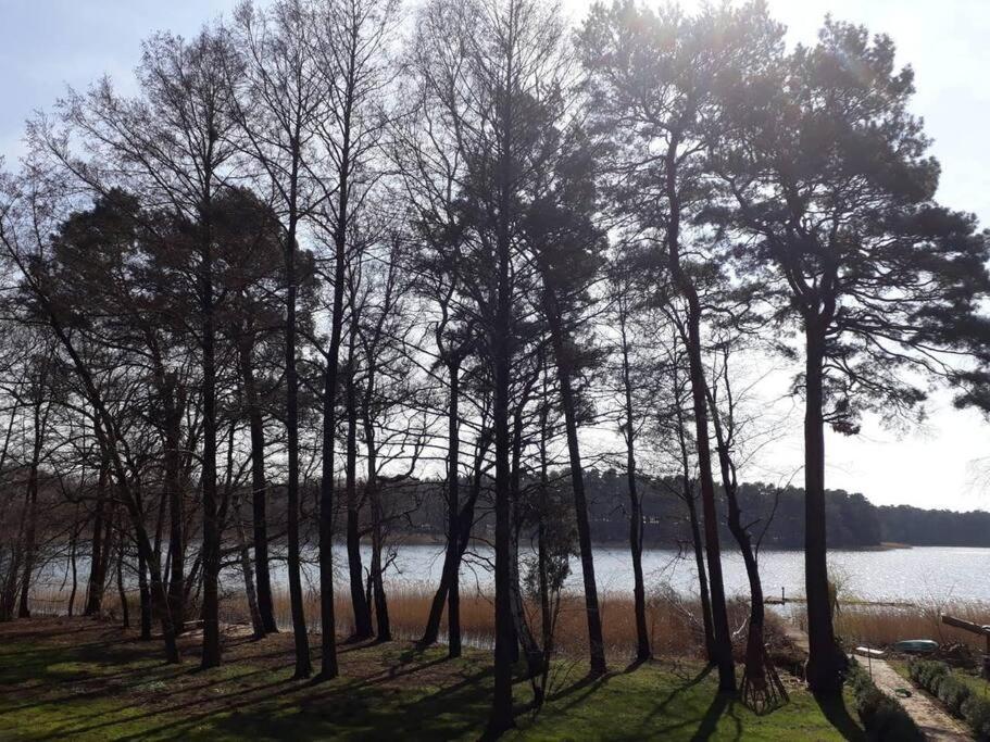 Penthouse Bernd Im Waldschloesschen Direkt Am See Wendisch Rietz Εξωτερικό φωτογραφία