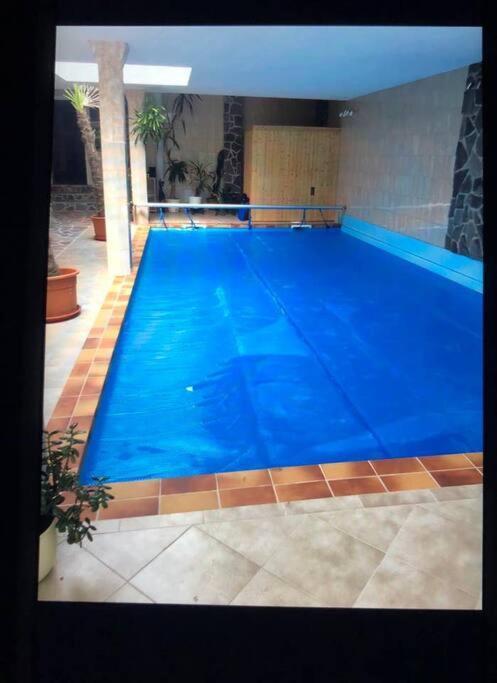 Penthouse Bernd Im Waldschloesschen Direkt Am See Wendisch Rietz Εξωτερικό φωτογραφία