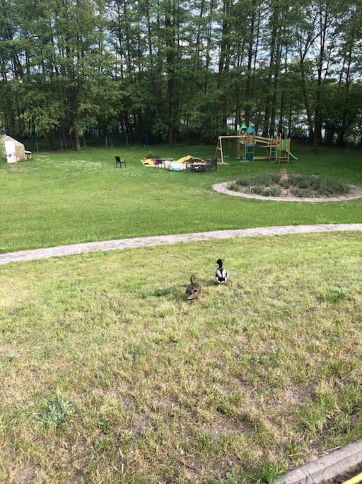 Penthouse Bernd Im Waldschloesschen Direkt Am See Wendisch Rietz Εξωτερικό φωτογραφία