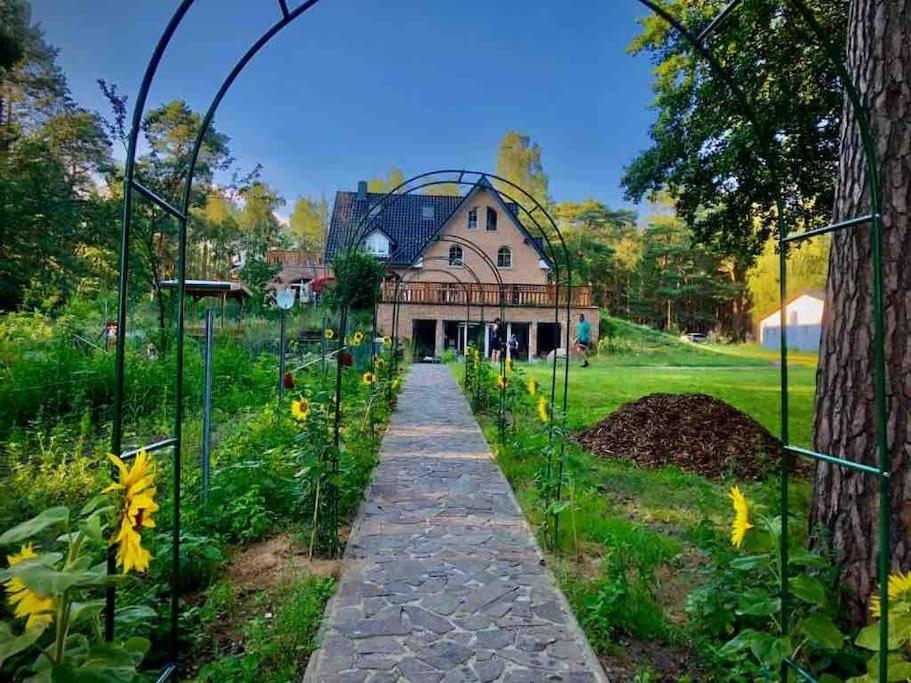 Penthouse Bernd Im Waldschloesschen Direkt Am See Wendisch Rietz Εξωτερικό φωτογραφία