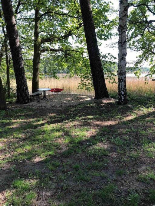Penthouse Bernd Im Waldschloesschen Direkt Am See Wendisch Rietz Εξωτερικό φωτογραφία